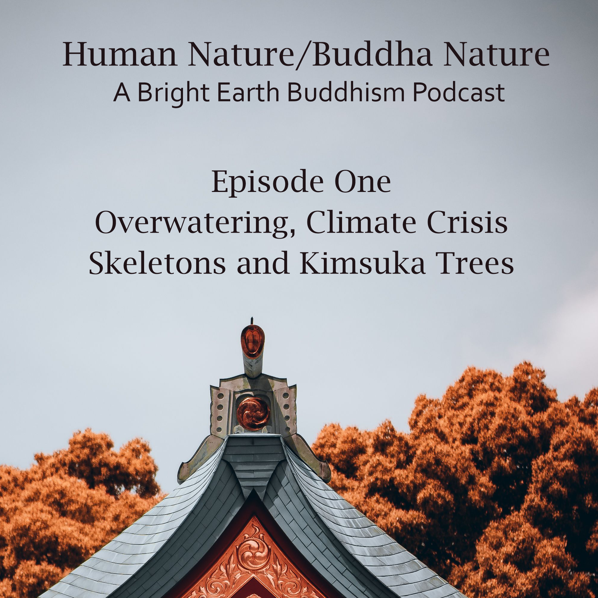 Episode One: Overwatering, Climate Crisis, Skeletons and Kimsuka Trees
